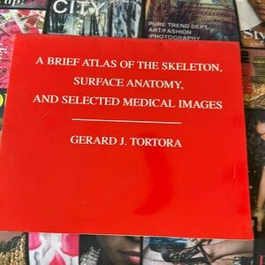 A Brief Atlas of Skeleton. Surface Anatomy.